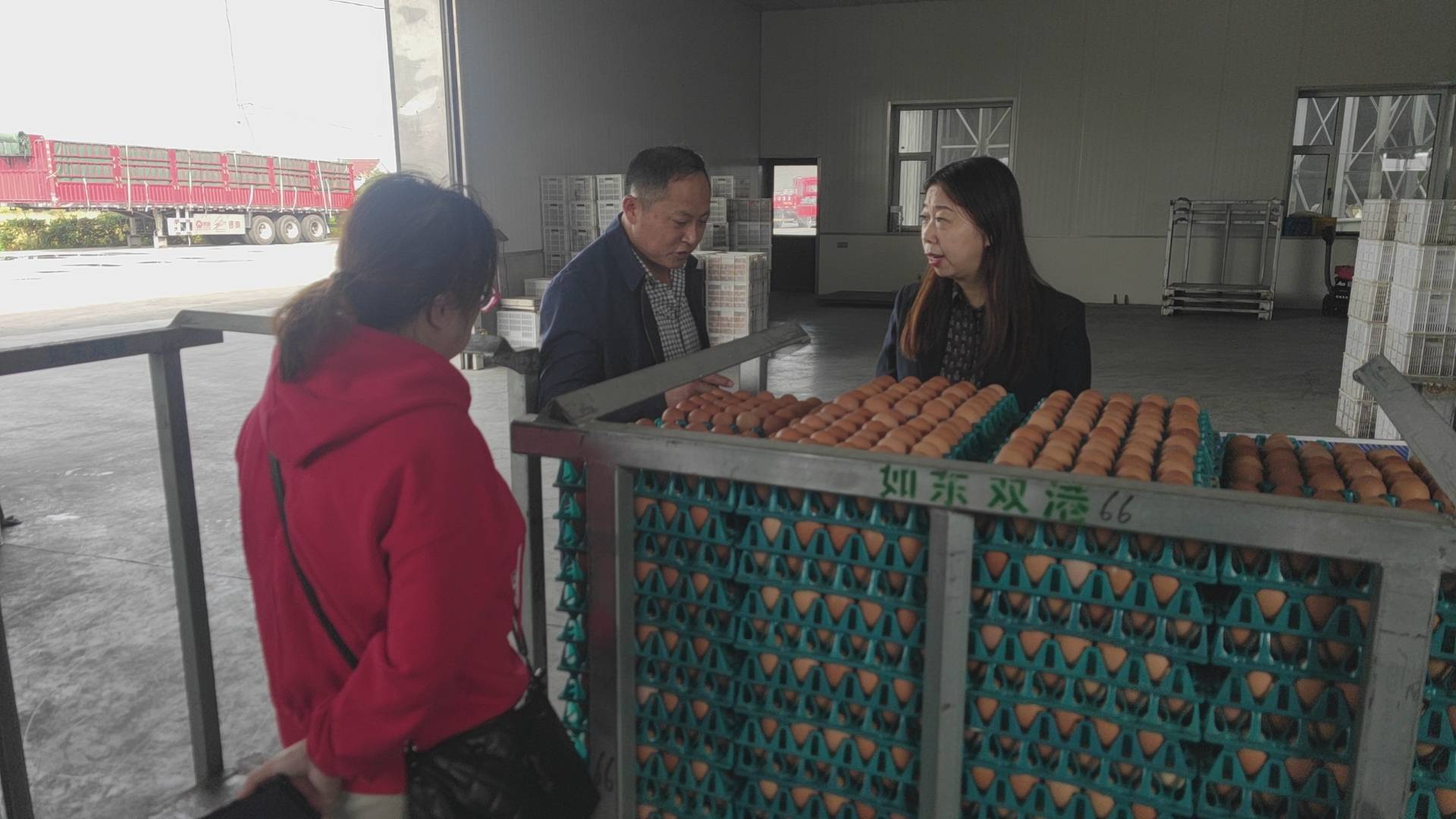 天惠超市董事長張君君一行實地考察南通如東縣亞山畜禽養殖場